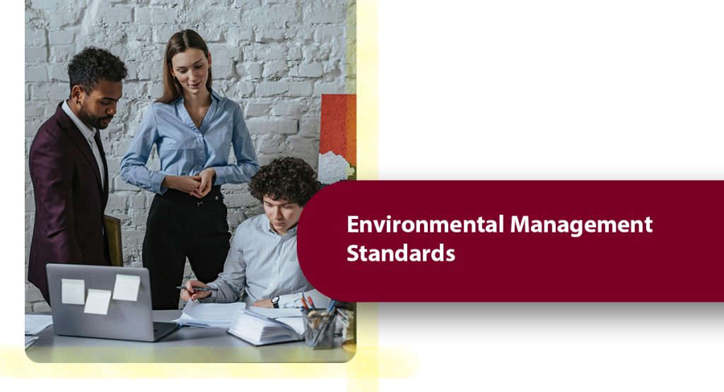Environmental Management Standards