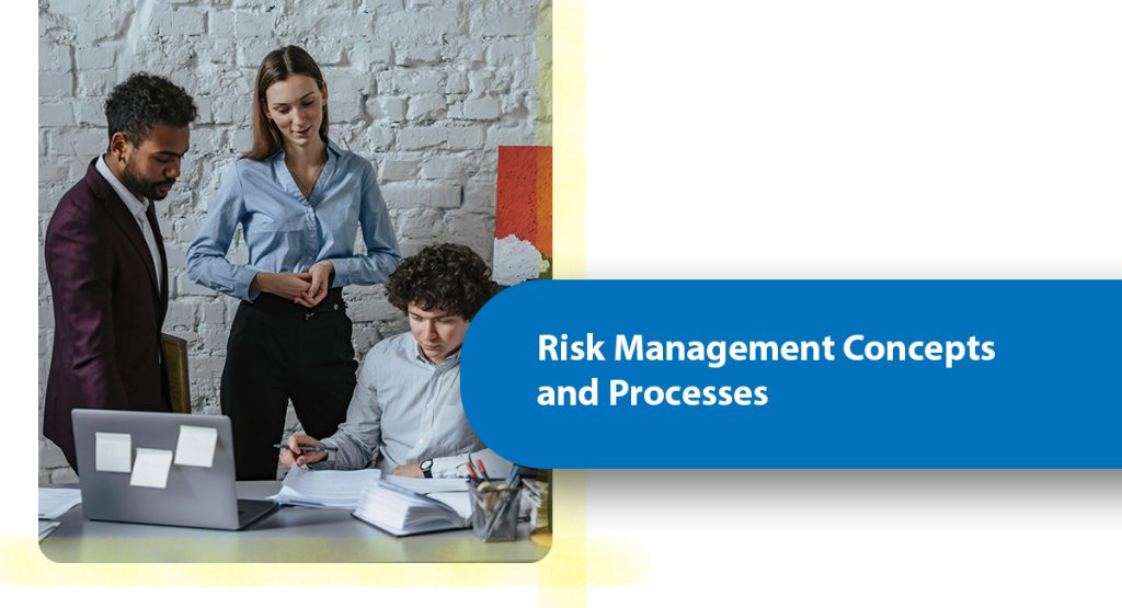 Risk Management Concepts and Processes