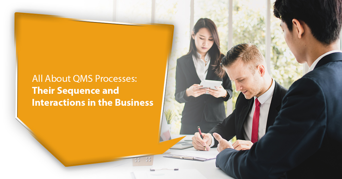 All About QMS Processes: Their Sequence and Interactions in the Business