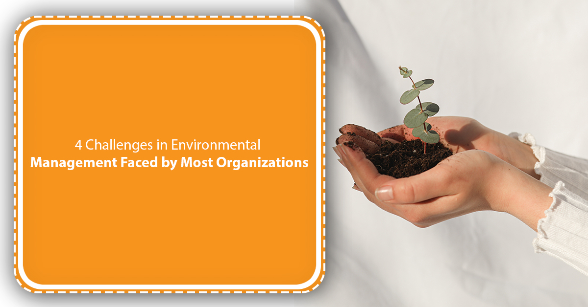 4 Challenges in Environmental Management Faced by Most Organizations