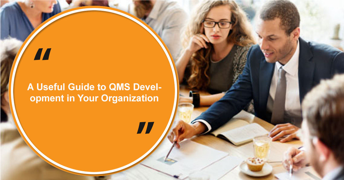 A Useful Guide to QMS Development in Your Organization