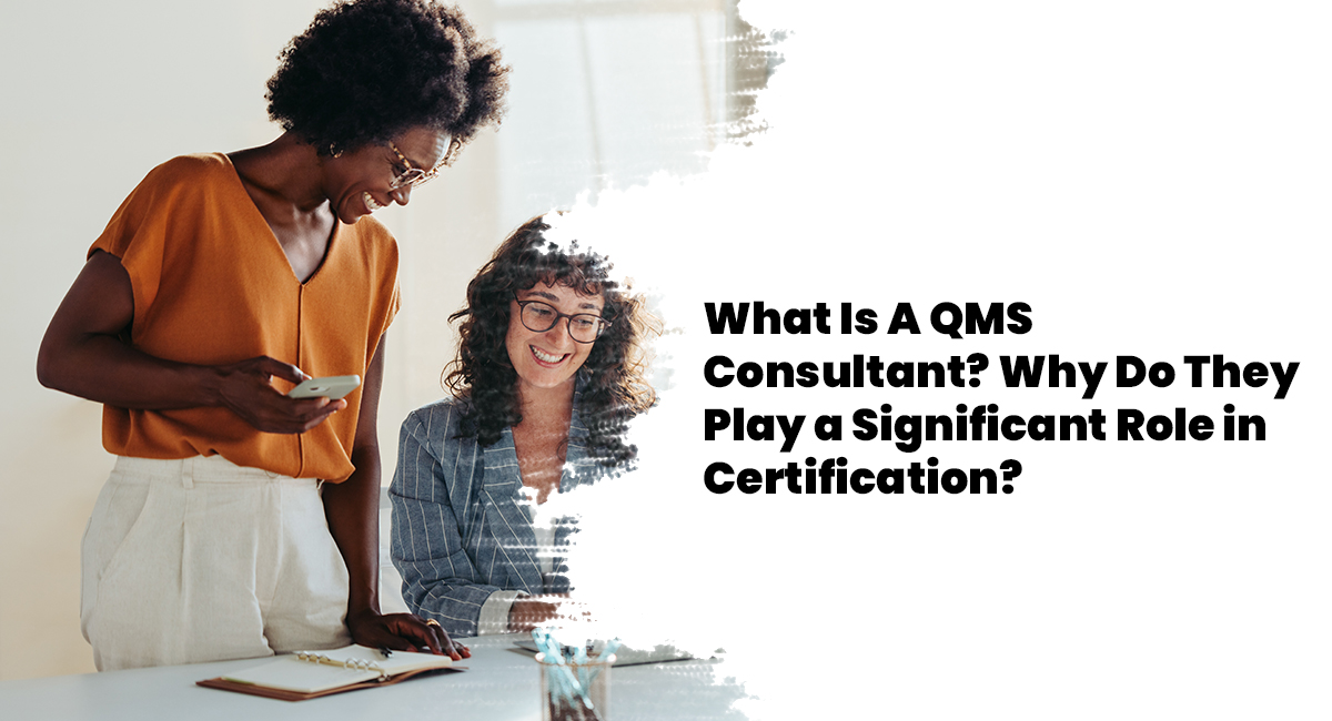 What Is A QMS Consultant? Why Do They Play a Significant Role in Certification?