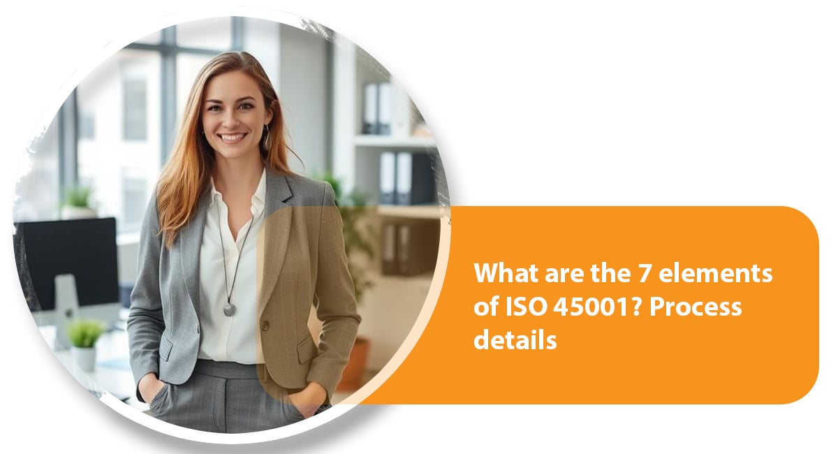 What are the 7 elements of ISO 45001? Process details