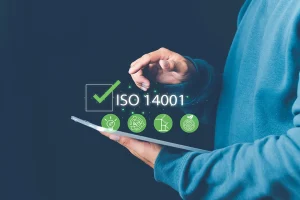 How Does ISO 14001 Help with Environmental Management?