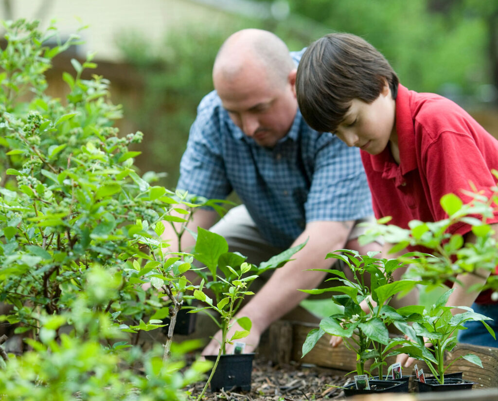 Management System Standards