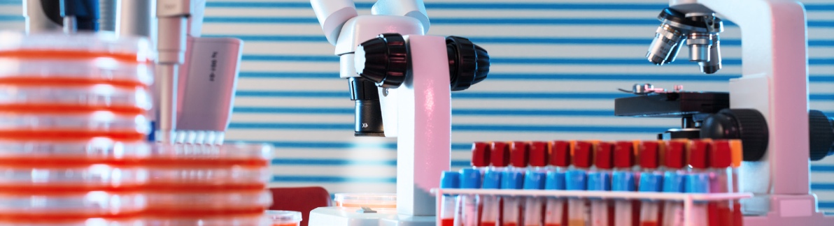 PECB Certified ISO 13485 Foundation