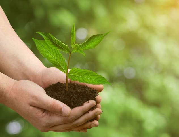 The ISO 14001 Certification